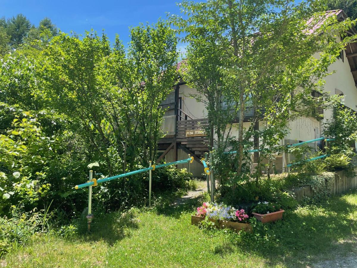 Holiday home Pedal Terrace *